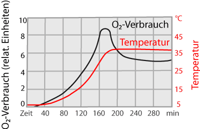 Erwachen aus Winterschlaf (Beispiel Hamster (Körpertemperatur und O2-Verbrauch)