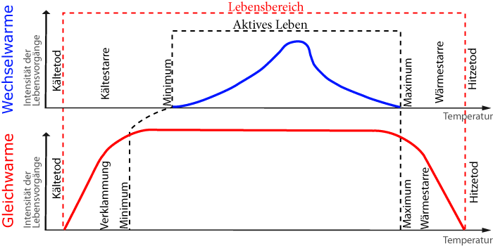 Temperatur-Toleranzkurven/Toleranzbereich bei Gleichwarmen und Wechselwarmen Tieren